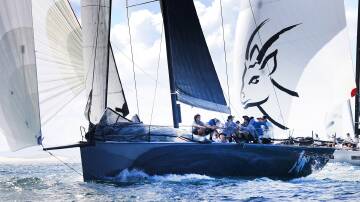 Sail Port Stephens wraps up another great sailing season this weekend. Picture by PromOcean Media