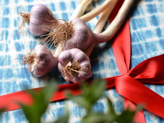 New garlic from Elmswood in the Upper Hunter is still available.