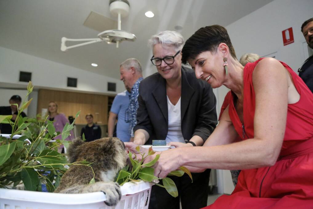 Shadow minister for the environment Penny Sharpe and Kate Washington feed Kyrie at Port Stephens Koala Hospital on March 15. Picture by Ellie-Marie Watts