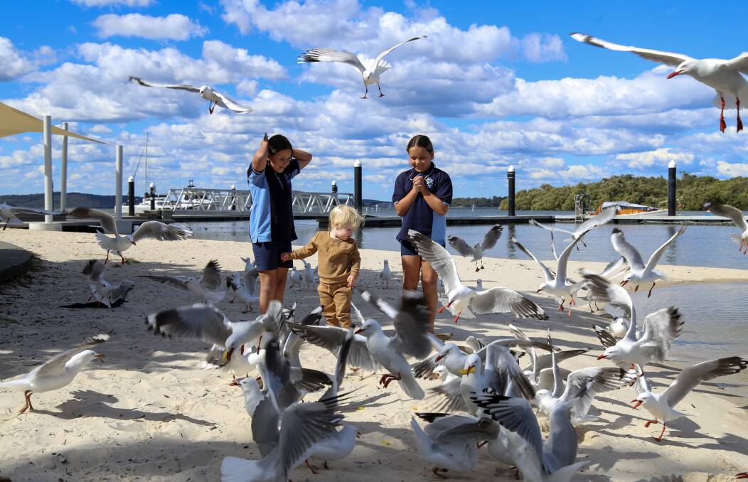Charlie and Mia Henderson, aged 9, with Jesse Murray, 18 months, feeding hot chips to the gulls along the water in Henderson Park. Pictures by Ellie-Marie Watts.