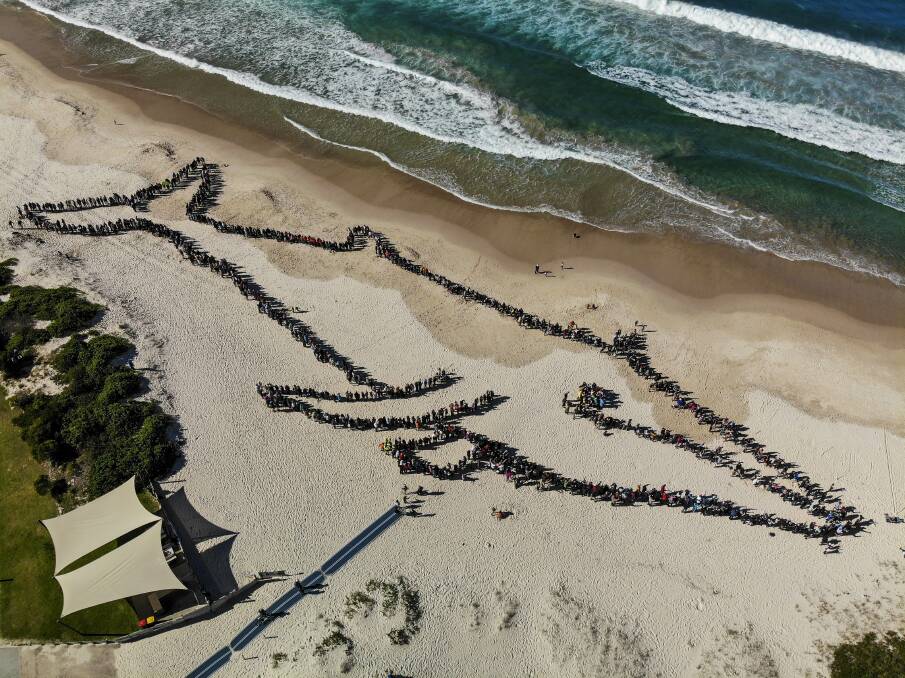 For the first time in the event's 10-year history, the human whale to be held at Fingal Beach on Sunday, October 9 has been cancelled due to forecast weather conditions. Picture of the 2019 formation by Ben Cupitt.