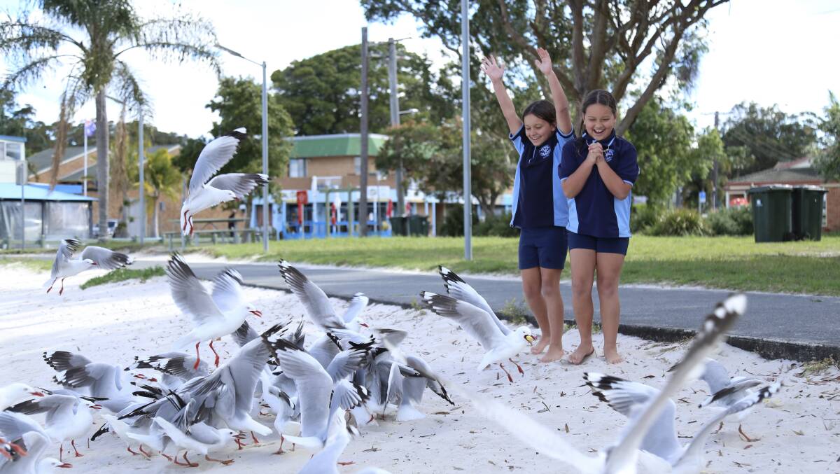 Twins Charlie and Mia Henderson, aged 9, feeding hot chips to gulls in Henderson Park.